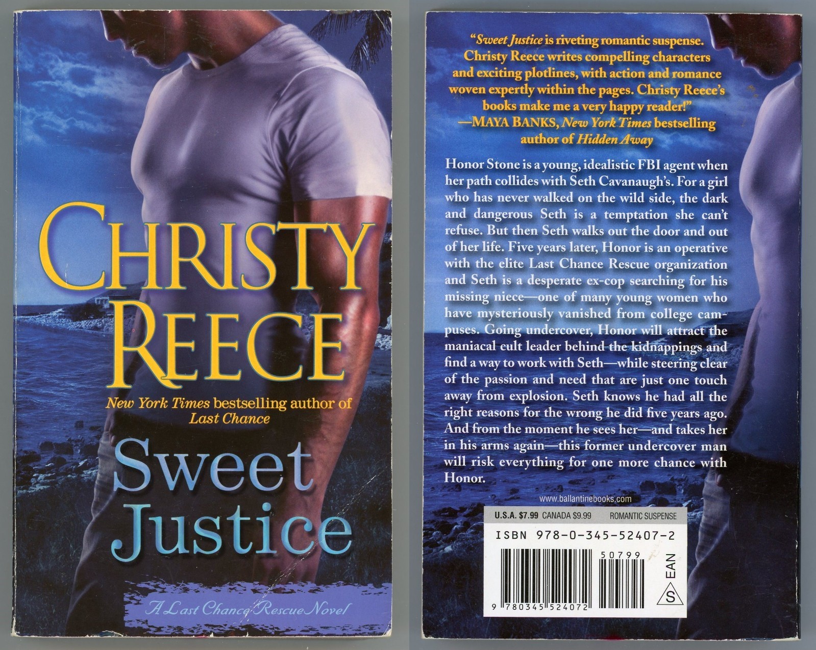 Last Chance Rescue Sensual Romance Lot of 6 Paperback by Christy Reece