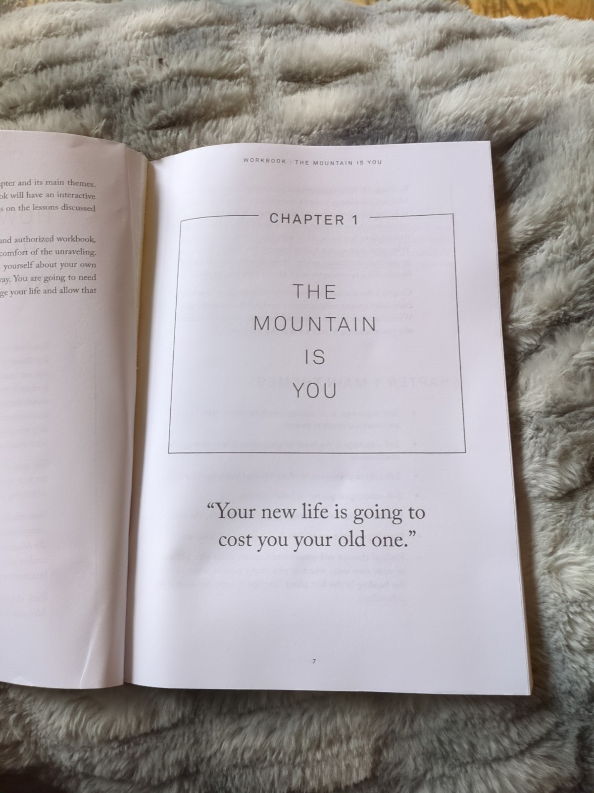Workbook: The Mountain Is You: Transforming Self Sabotage into Self Mastery