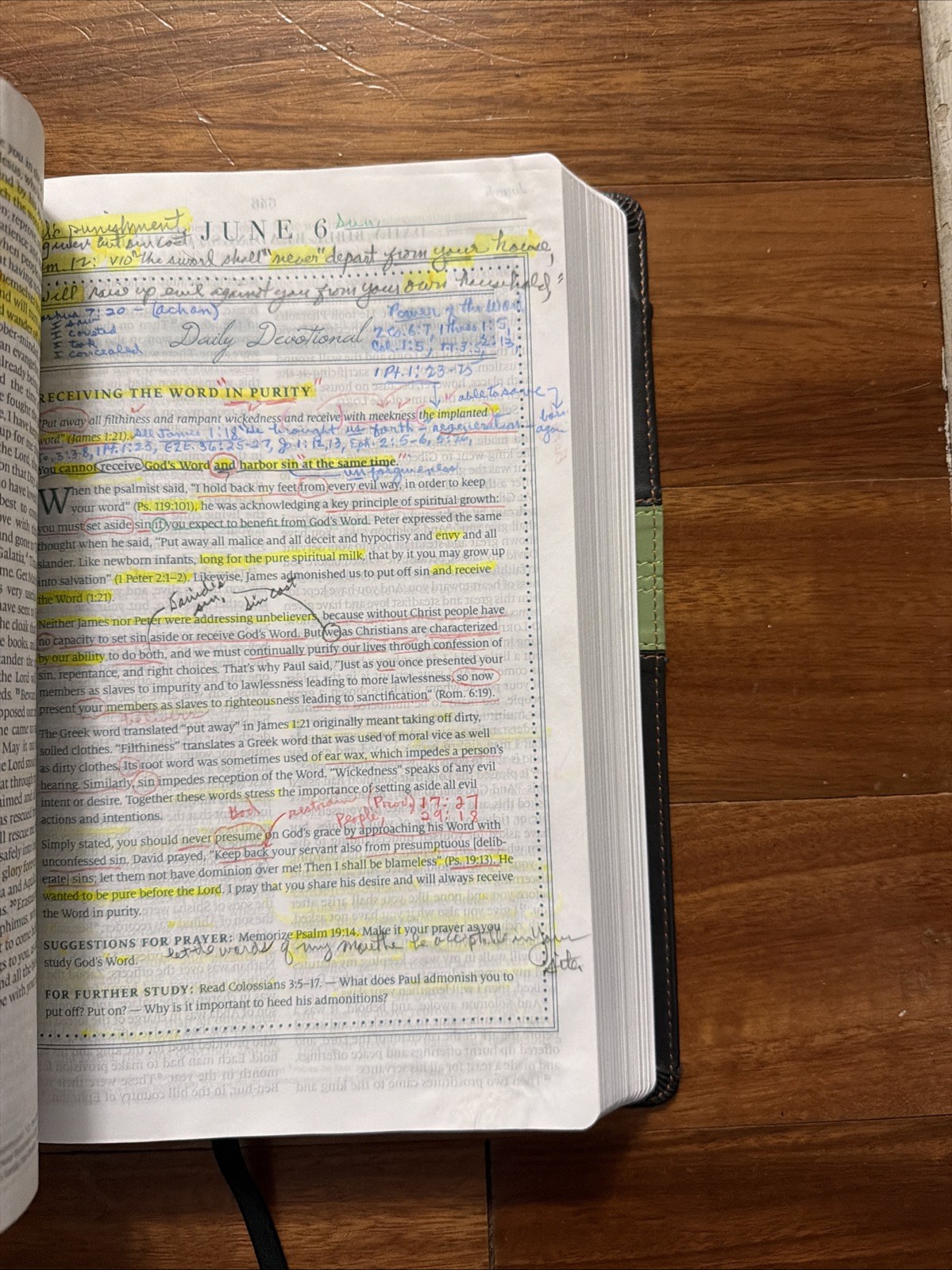 ESV MacArthur Drawing Near Devotional Bible TruTone Charcoal/Sage Trail Design