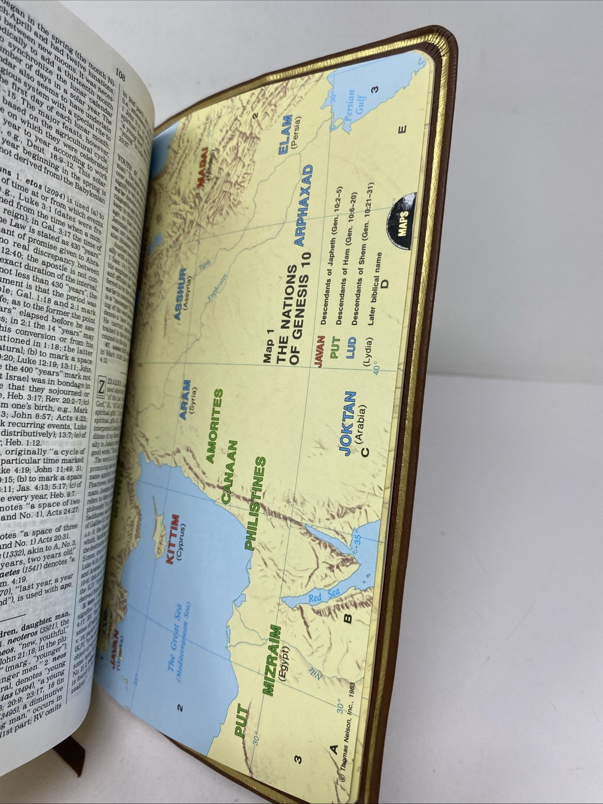 NKJV Vine’s Expository Reference Bible 3006BRV 1997 Leather Thumb-Indexed