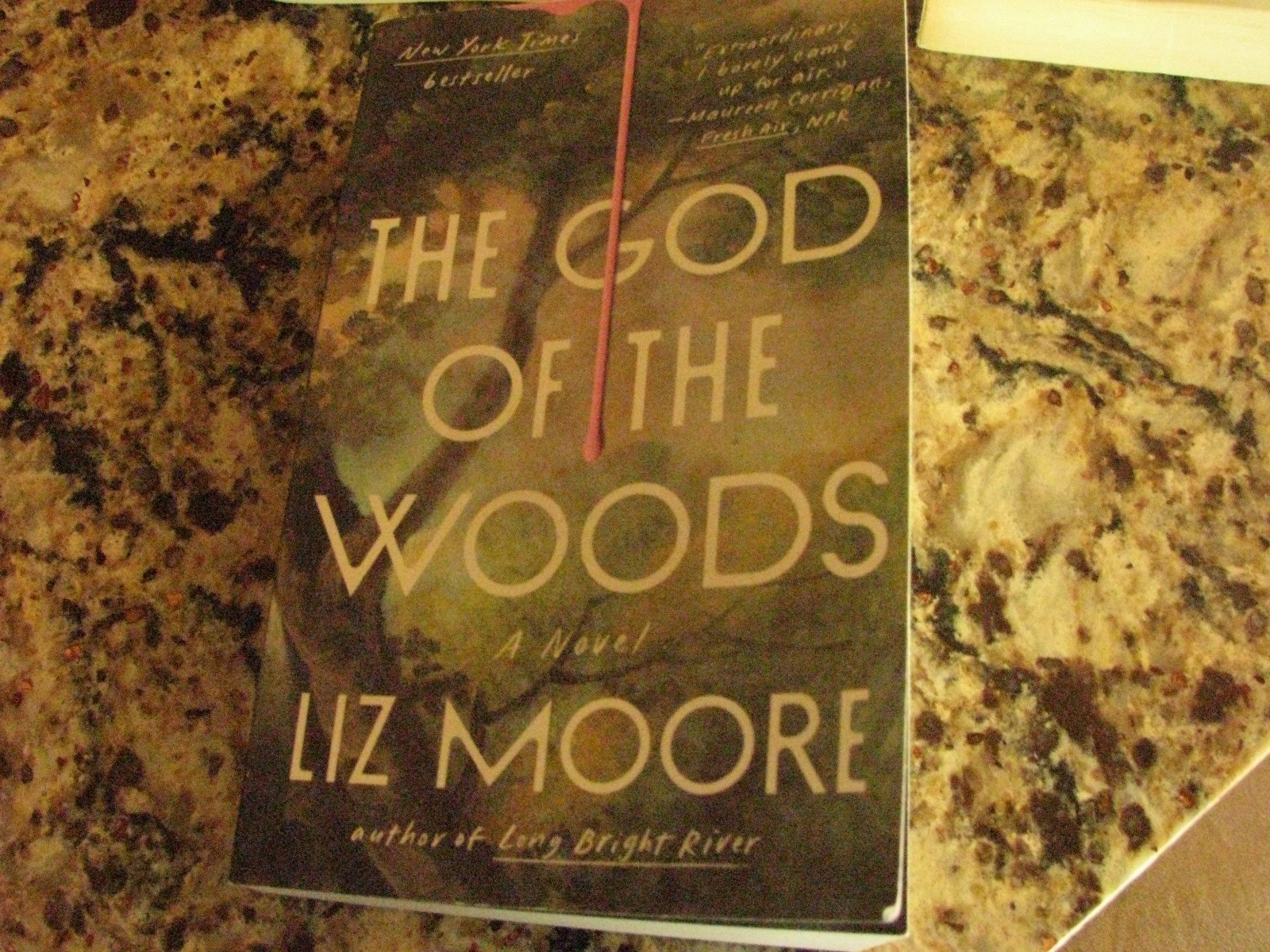 The God of the Woods by Liz Moore, Paperback