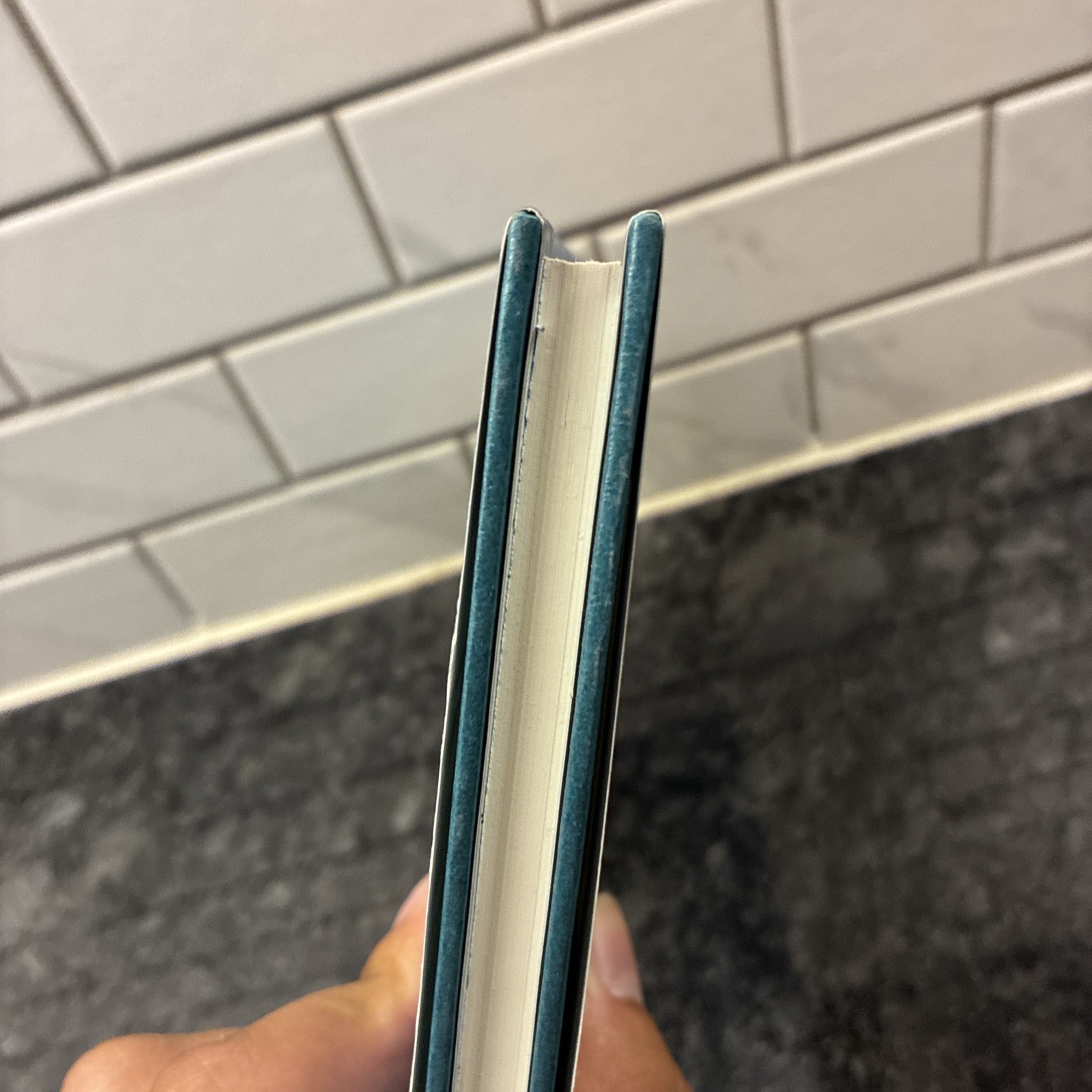 Aquamarine,Alice Hoffman