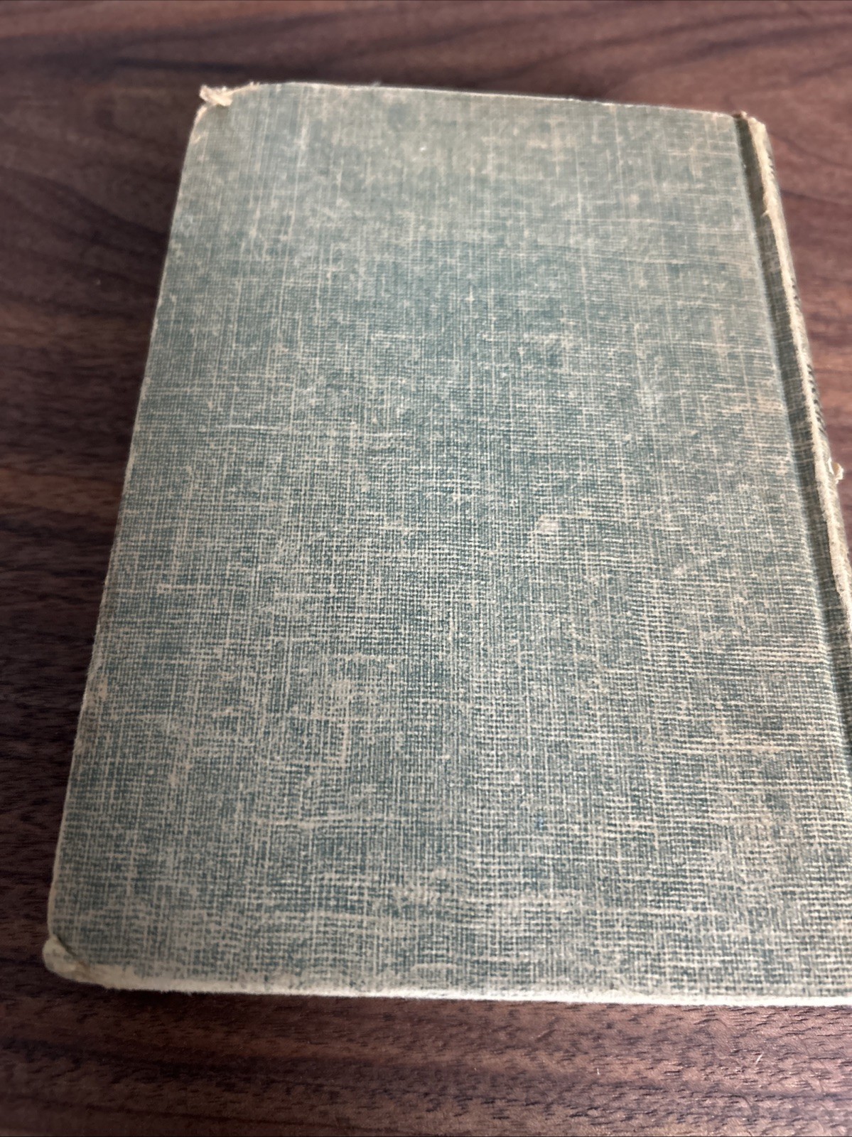 Bambi by Felix Salten w/ Kurt Wiese illustrations c. 1929 Thrushwood Book HC