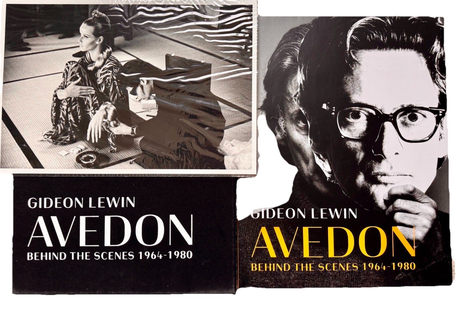 Gideon Lewin Avedon Behind The Scenes 1964-1980 #168/275 Book/Photo SIGNED