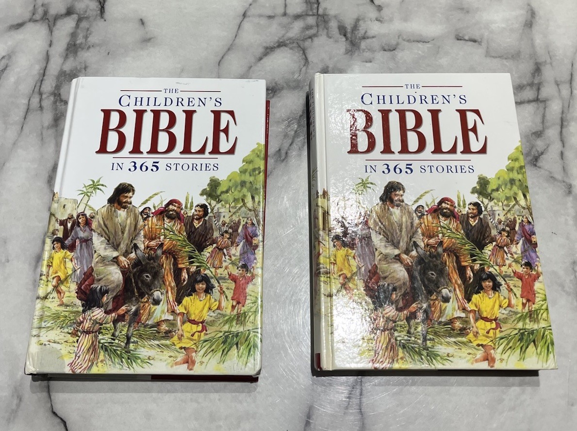 David C Cook The Children’s Bible in 365 Stories Hardcover Bible Stories