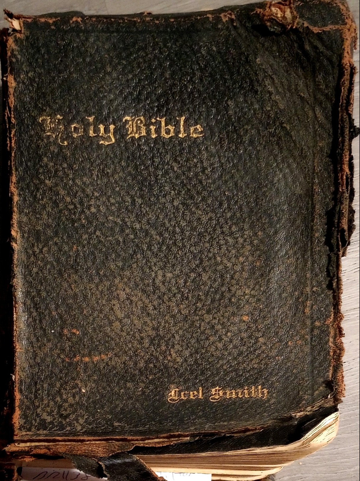Smith (Tilton) Family Bible (Bible Rescue #1138)