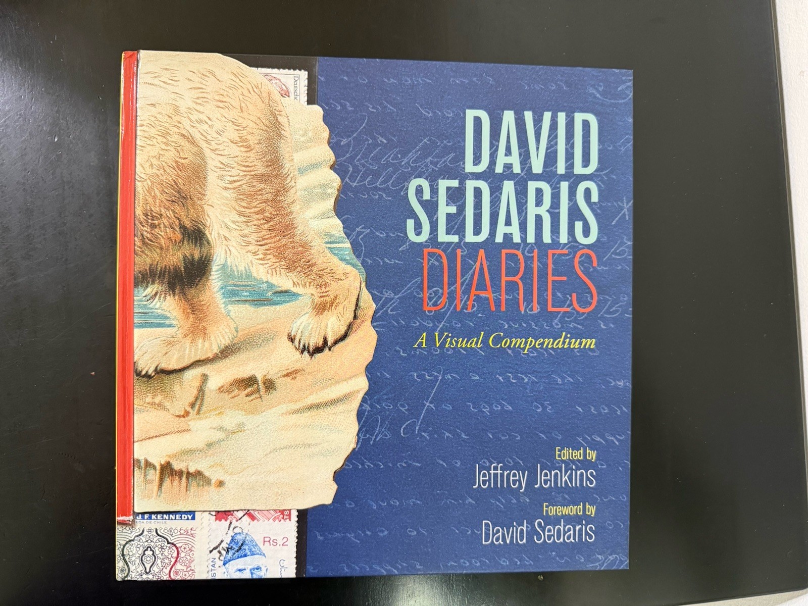David Sedaris Diaries : A Visual Compendium by David Sedaris and Jeffrey Jenkins