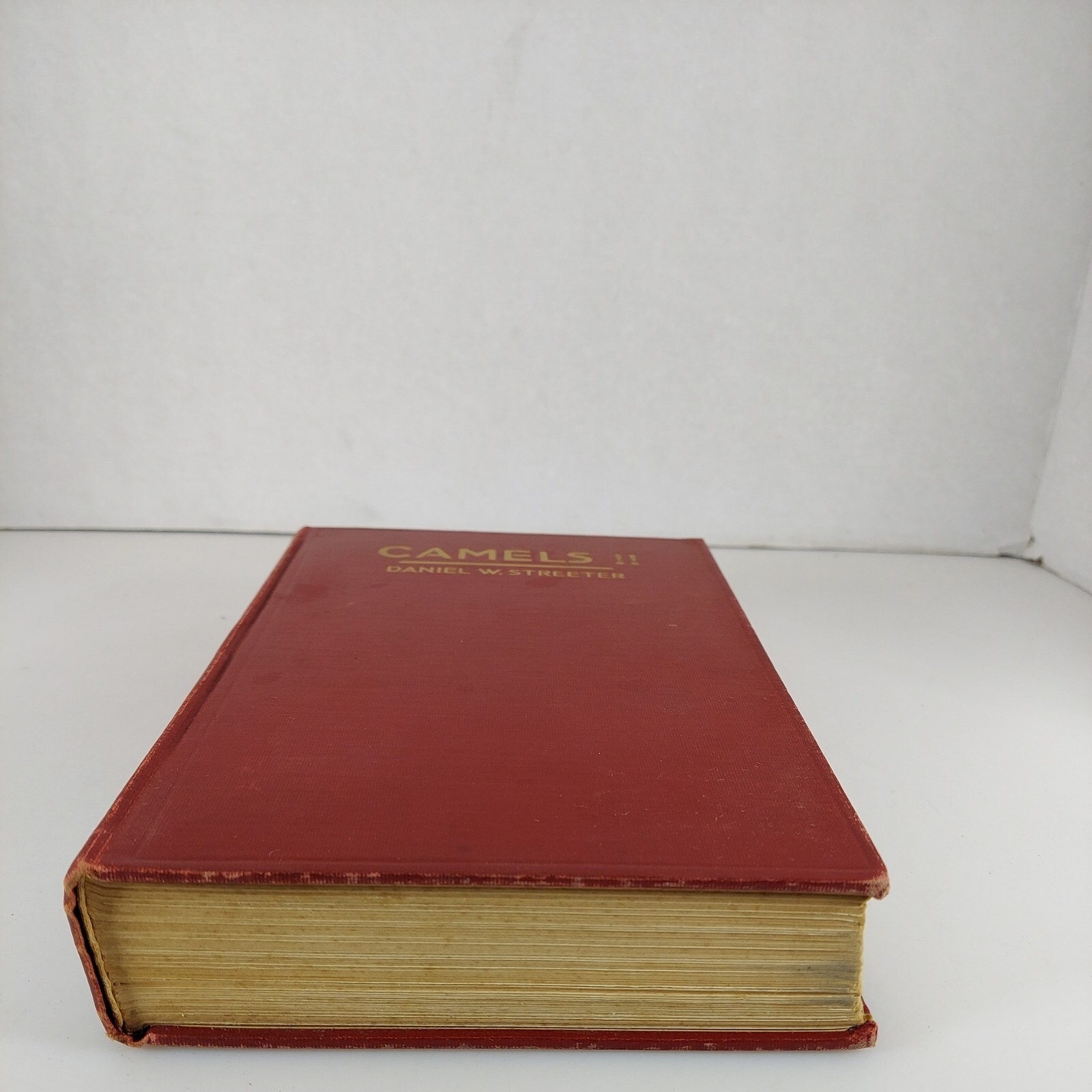 CAMELS! Daniel W. Streeter 1927 4th Impression Illustrated HC G.P. Putnam’s Sons