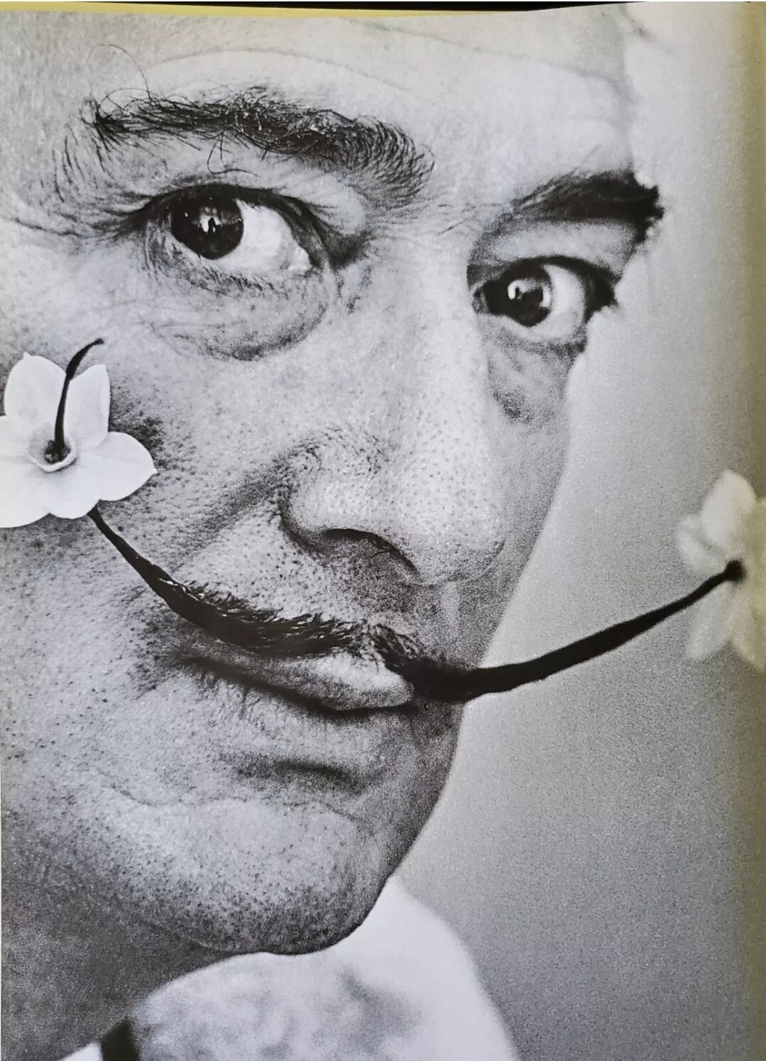 Salvador Dali: The Paintings 1904-1946 by Gilles Neret & Robert Descarnez (8 lb)