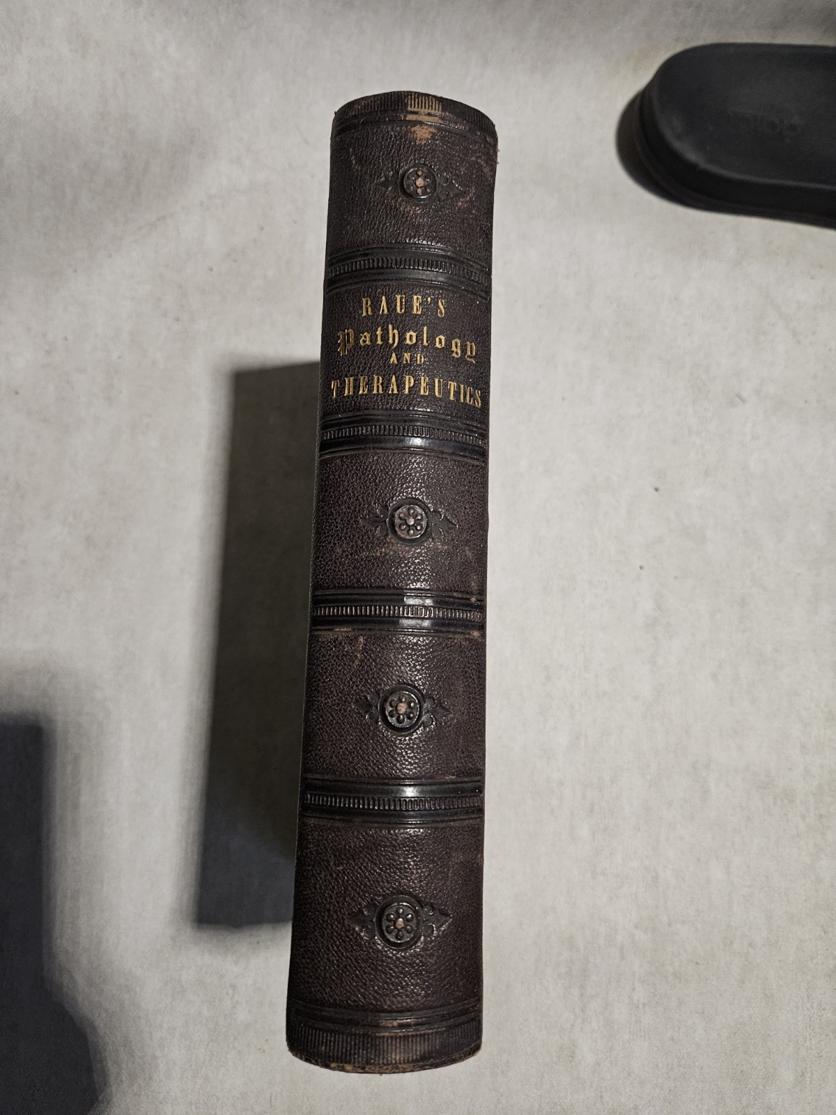 Special Pathology and Diagnostics, with Therapeutic Hints by C. G. Raue 1874