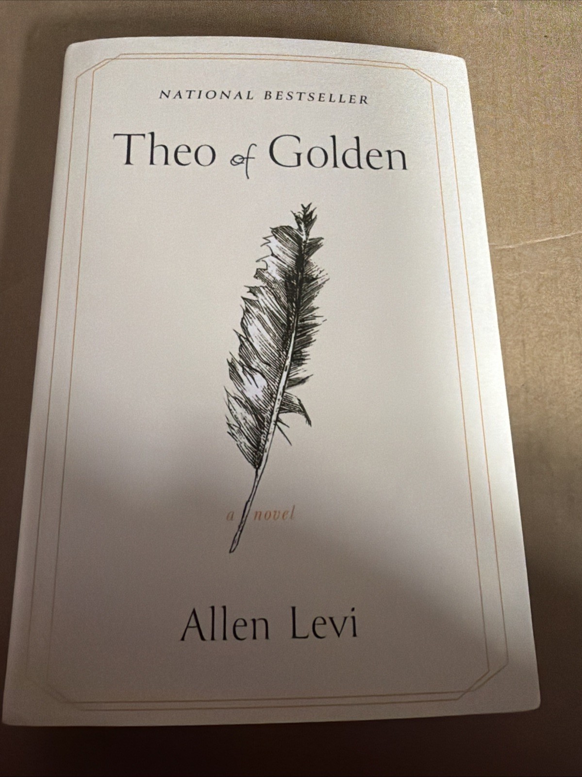 Theo of Golden : A Novel by Allen Levi (Hardcover) SEE DESCRIPTION