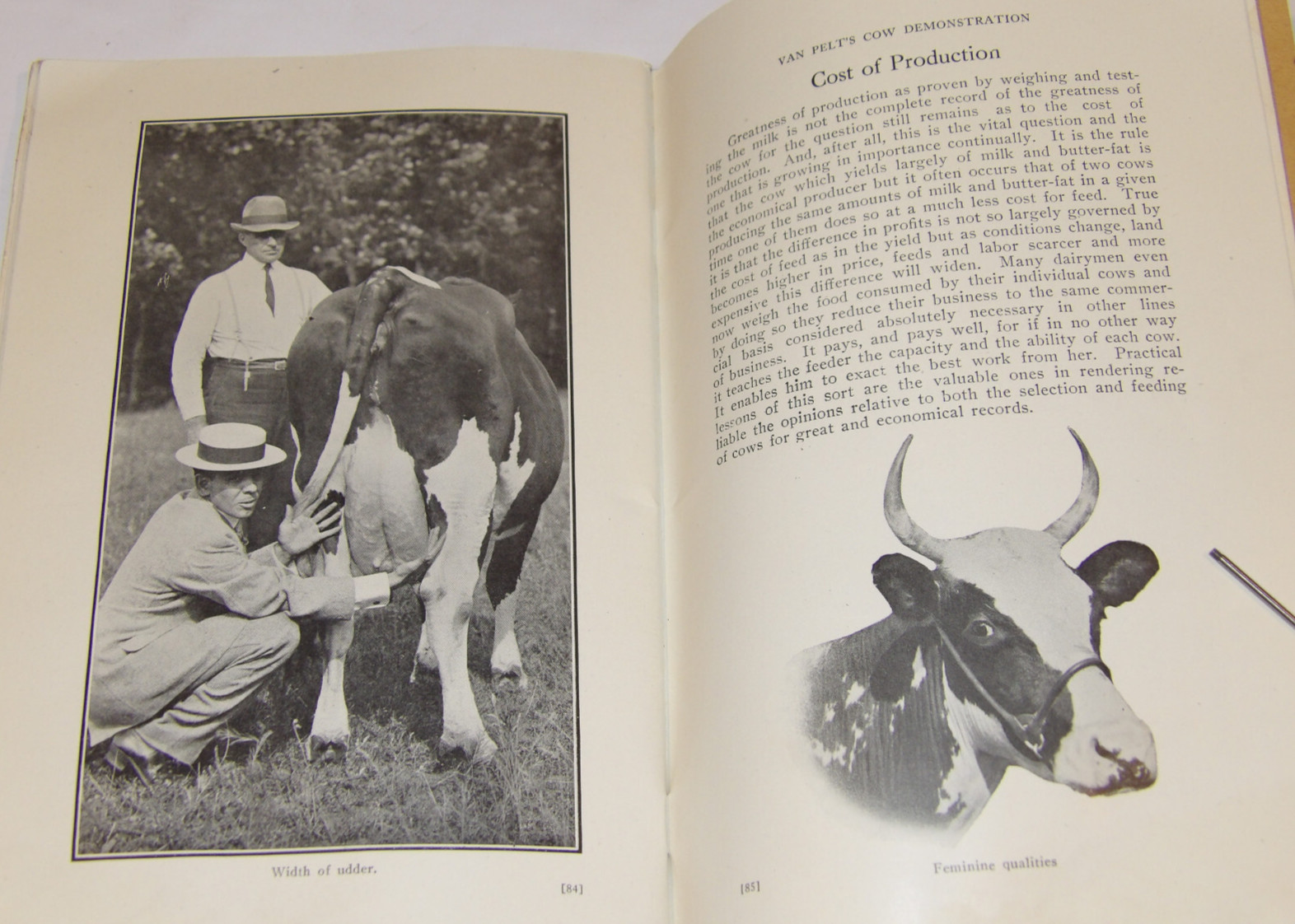 1911 VAN PELT’S COW DEMONSTRATION BOOK! 1st EDITION! ILLUSTRATED! 5 ESSENTIALS!
