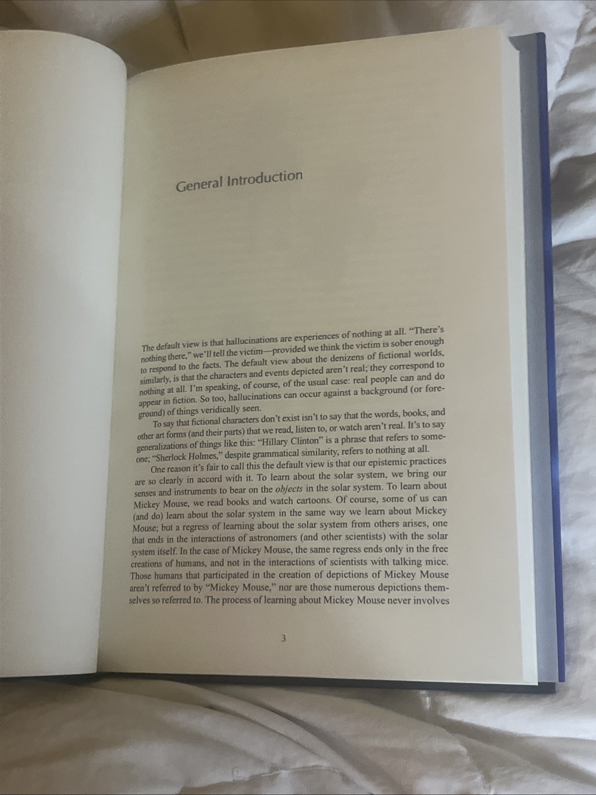 Talking about Nothing : Numbers, Hallucinations, and Fictions Jod