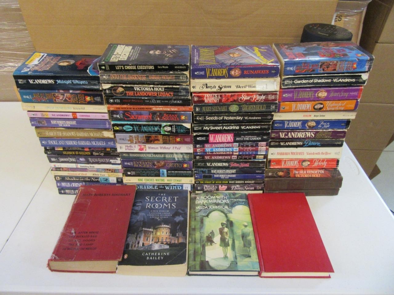 HUGE Lot (65) GOTHIC Dark Mystery Romance Books VC ANDREWS MARY ROBERTS RINEHART