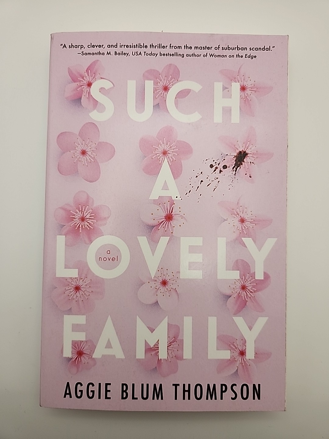 Such a Lovely Family by Aggie Blum Thompson (Paperback)