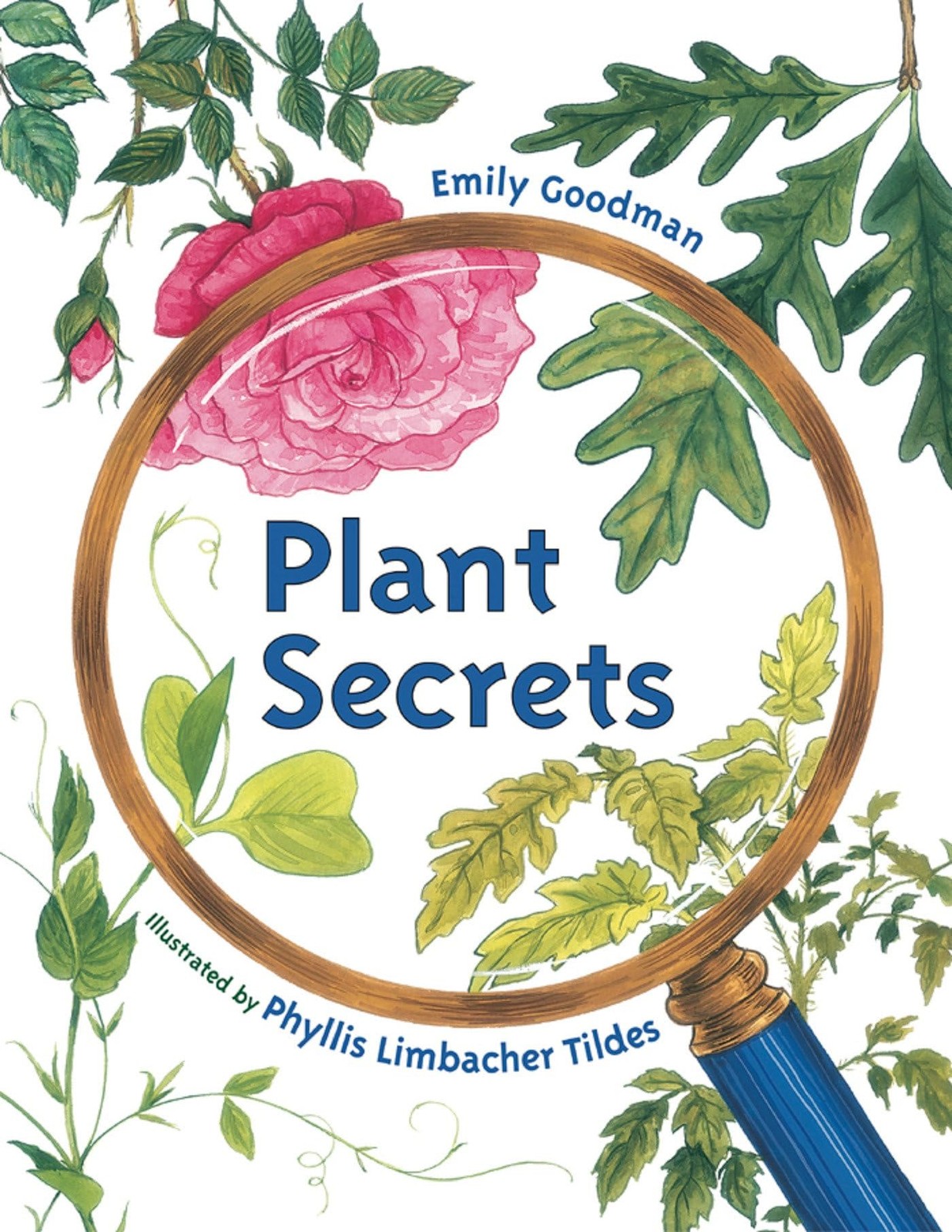 Plant Secrets – Tildes, Phyllis Limbacher|Goodman, Emily – Good – See condit…