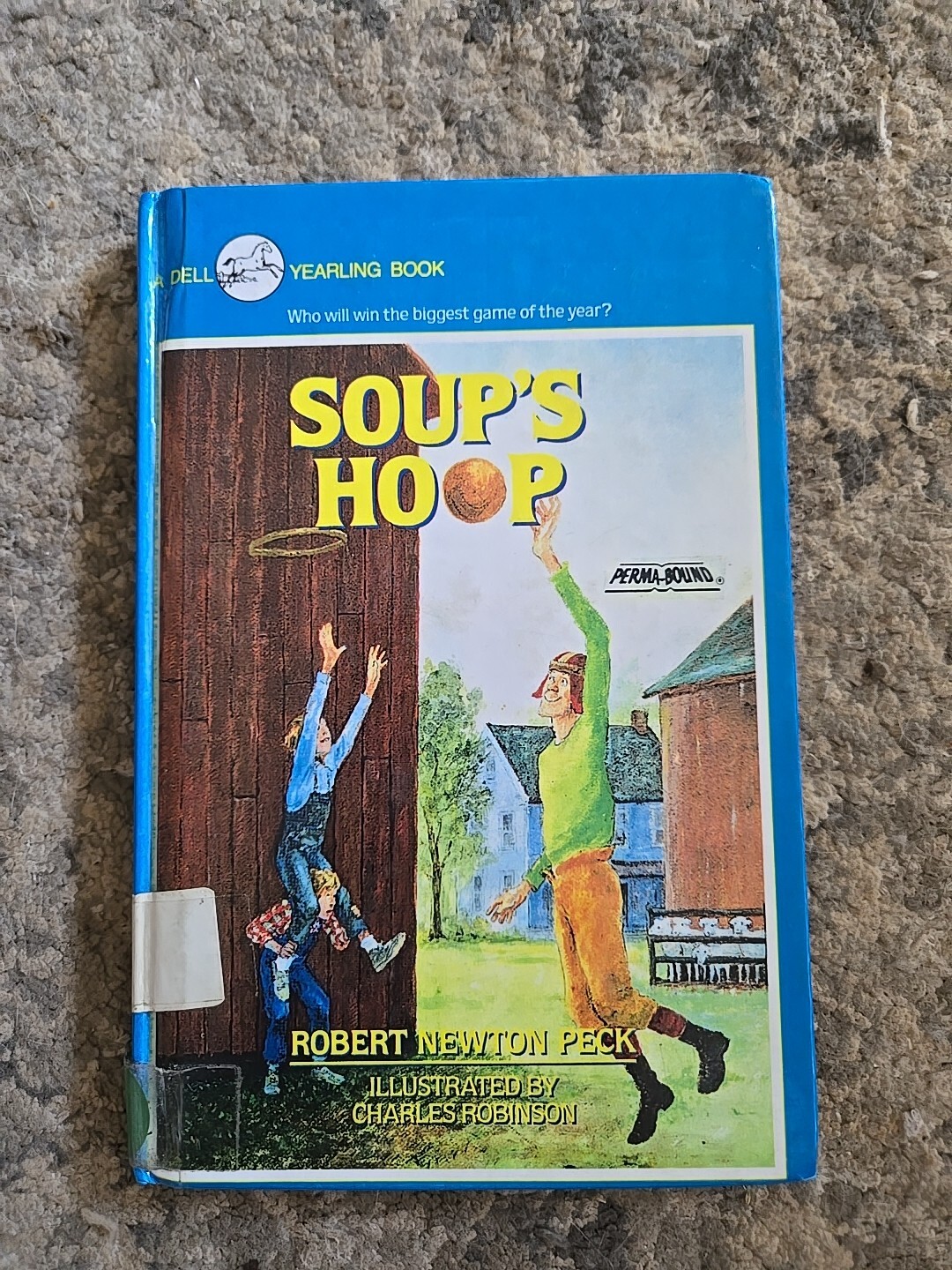 Soup’s Hoop by Peck, Robert Newton Hardcover 1990 Good Condition