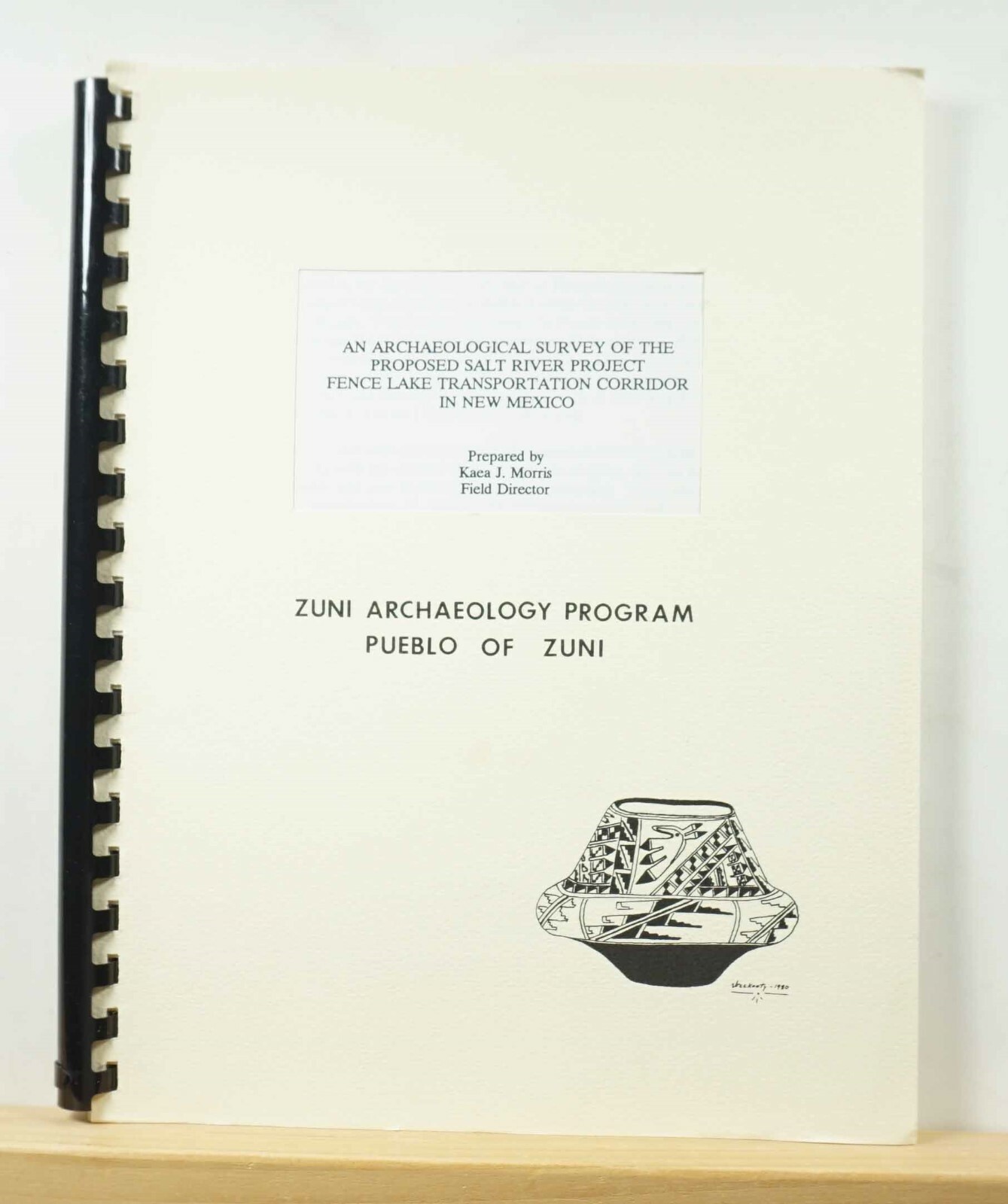 Archaeological Survey Salt River Project Fence Lake Corridor New Mexico Zuni ’92