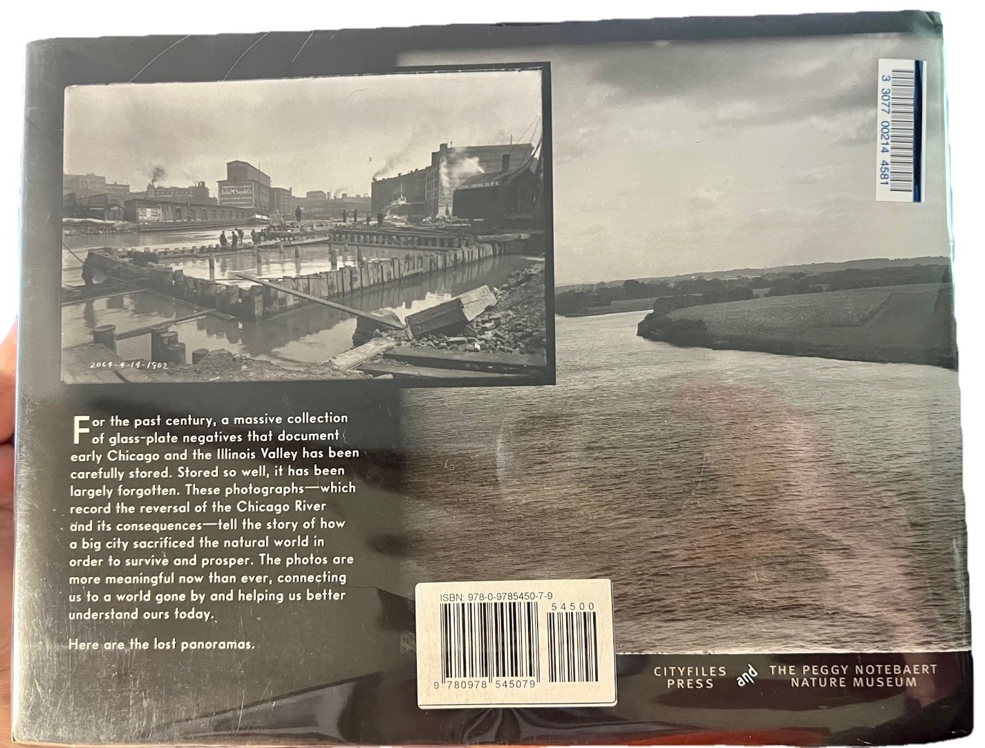 The Lost Panoramas: When Chicago Changed Its River ~ And The Land Beyond ~