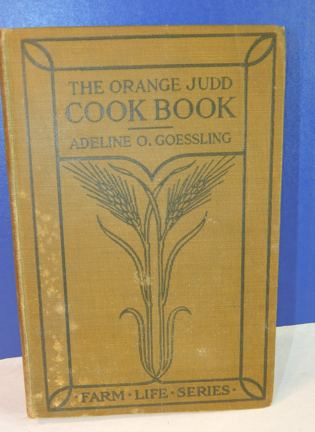 Rare Antique The Orange Judd Cook Book Farm Series 1914 Adeline Goessling