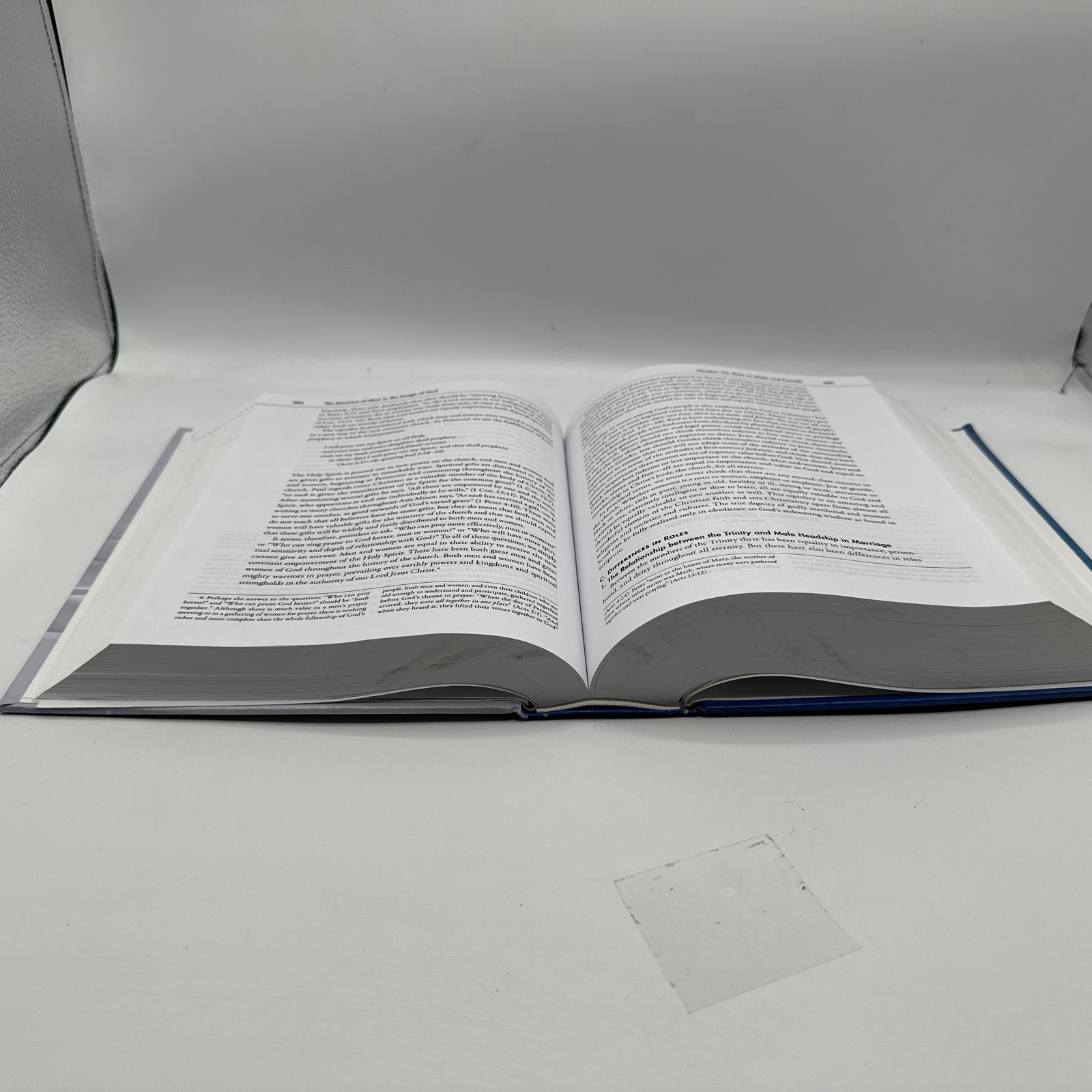 Systematic Theology, Second Edition: An Introduction to Biblical Doctrine B-485