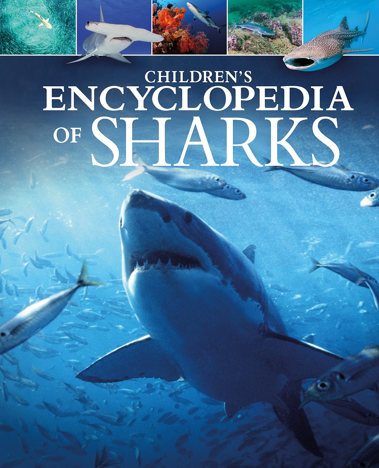 Children’s Encyclopedia of Sharks (Arcturus Children’s Reference Library)