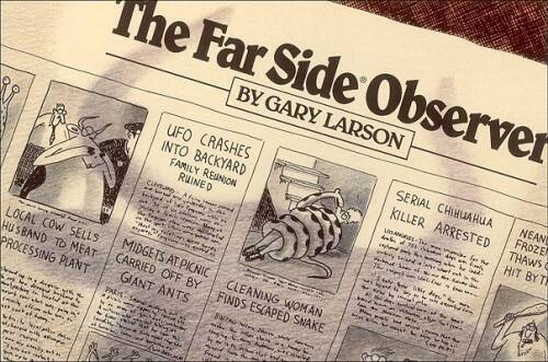 The Far Side Observer – Paperback By Larson, Gary – VERY GOOD