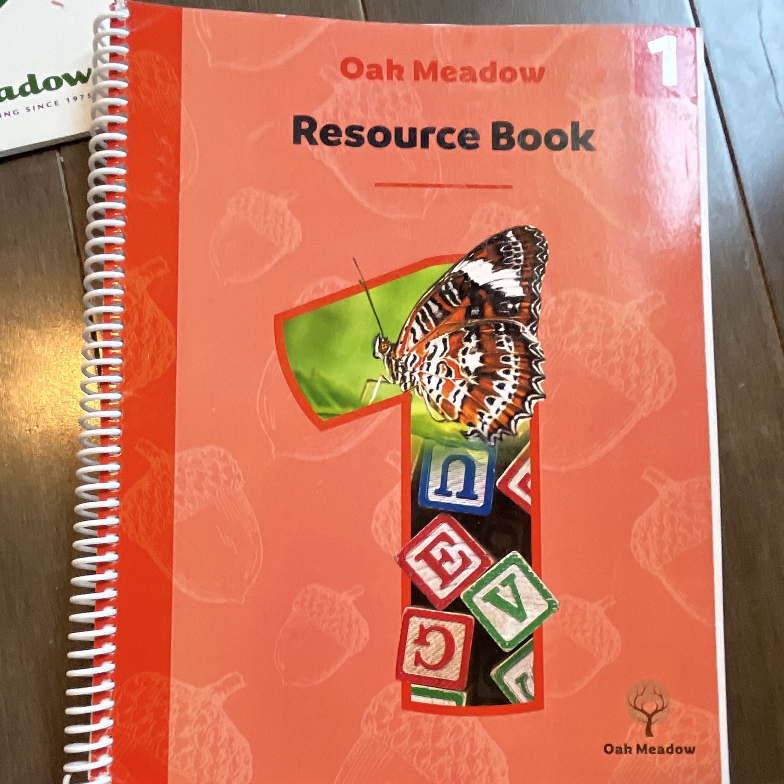 Oak Meadow Grade 1 Coursebook (2020) Spiral Paperback Homeschool with Recorder