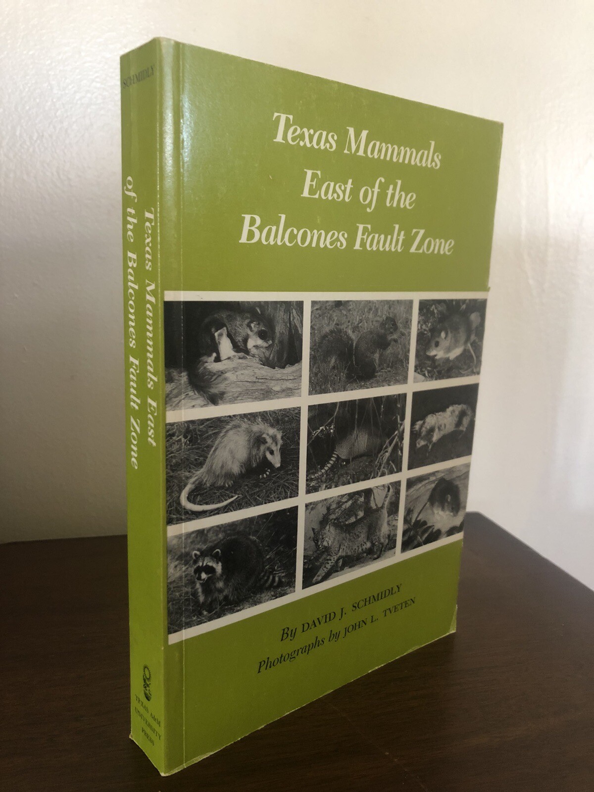 Texas Mammals East of the Balcones Fault Zone (1983) David Schmidly Texas A&M