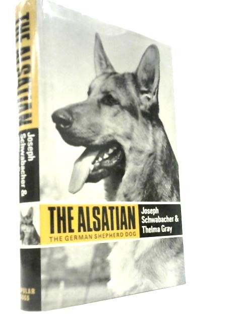 The Alsatian (Joseph Schwabacher & Thelma Gray – 1967) (ID:30879)