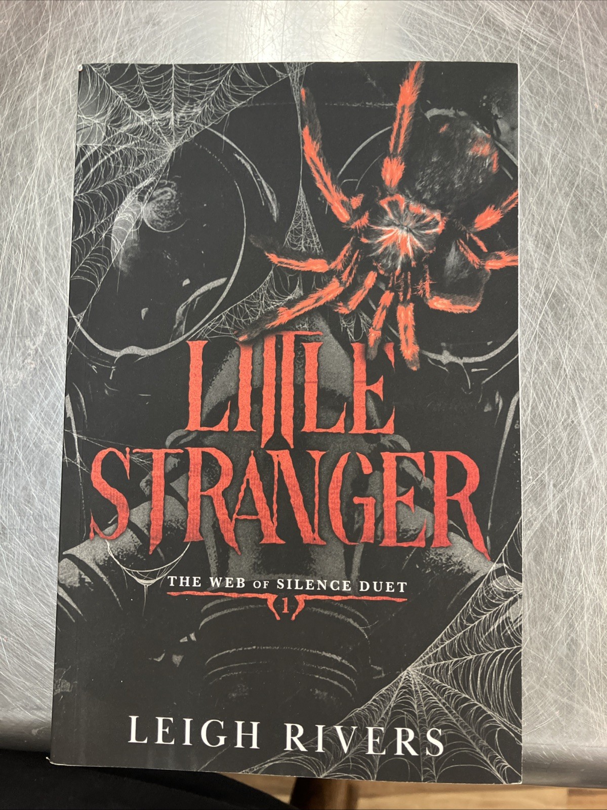 Little Stranger: A Dark Taboo – Paperback, by Rivers Leigh – Acceptable n