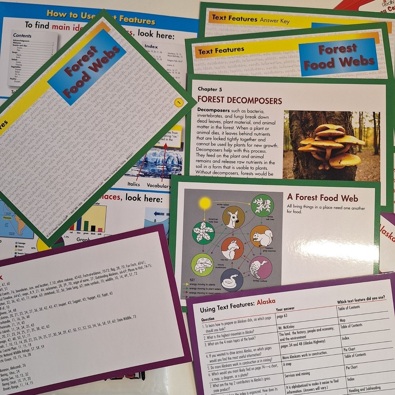 Literacy Center Grades 3-5 Level 2 Main Idea Text Features Really Good Stuff