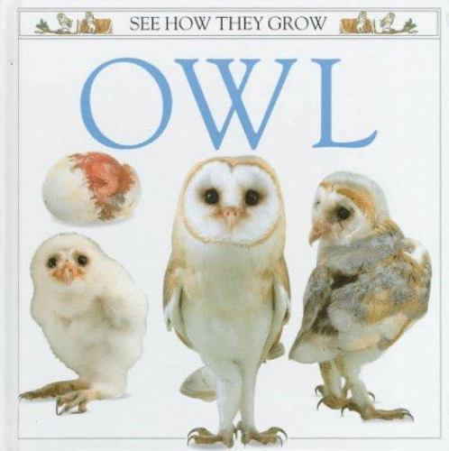 Owl; See How They Grow – hardcover, 1564581152, Mary Ling