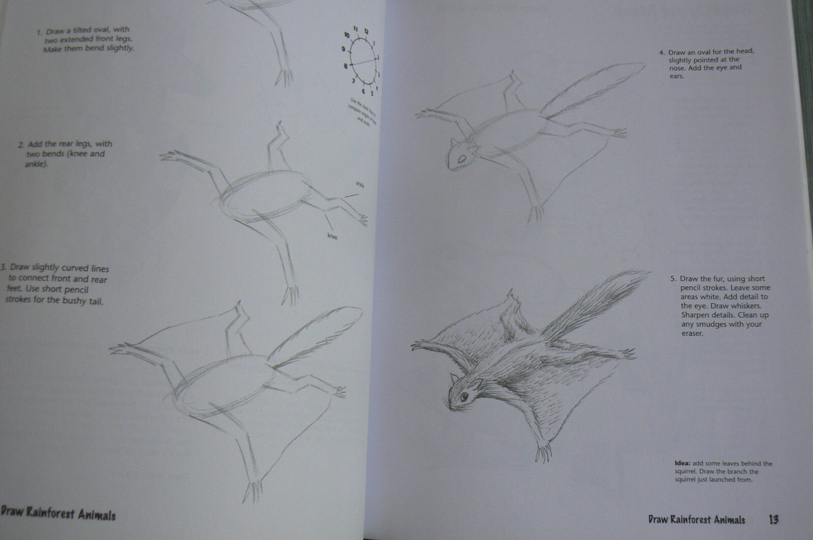 DRAW Rainforest Animals, Doug DuBosque, NEW PB 31773 Art Instruction,Drawing
