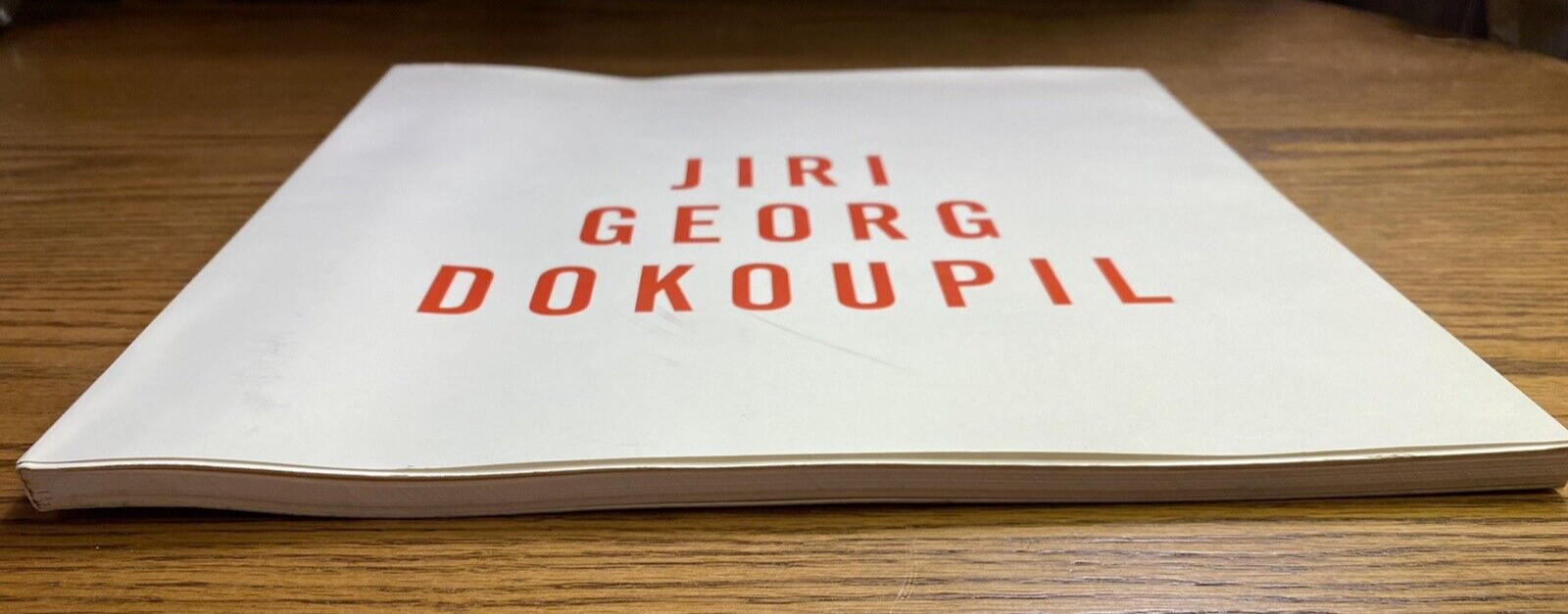 Jiri Georg Dokoupil Art First Edition 1989 Published by Robert Miller, New York