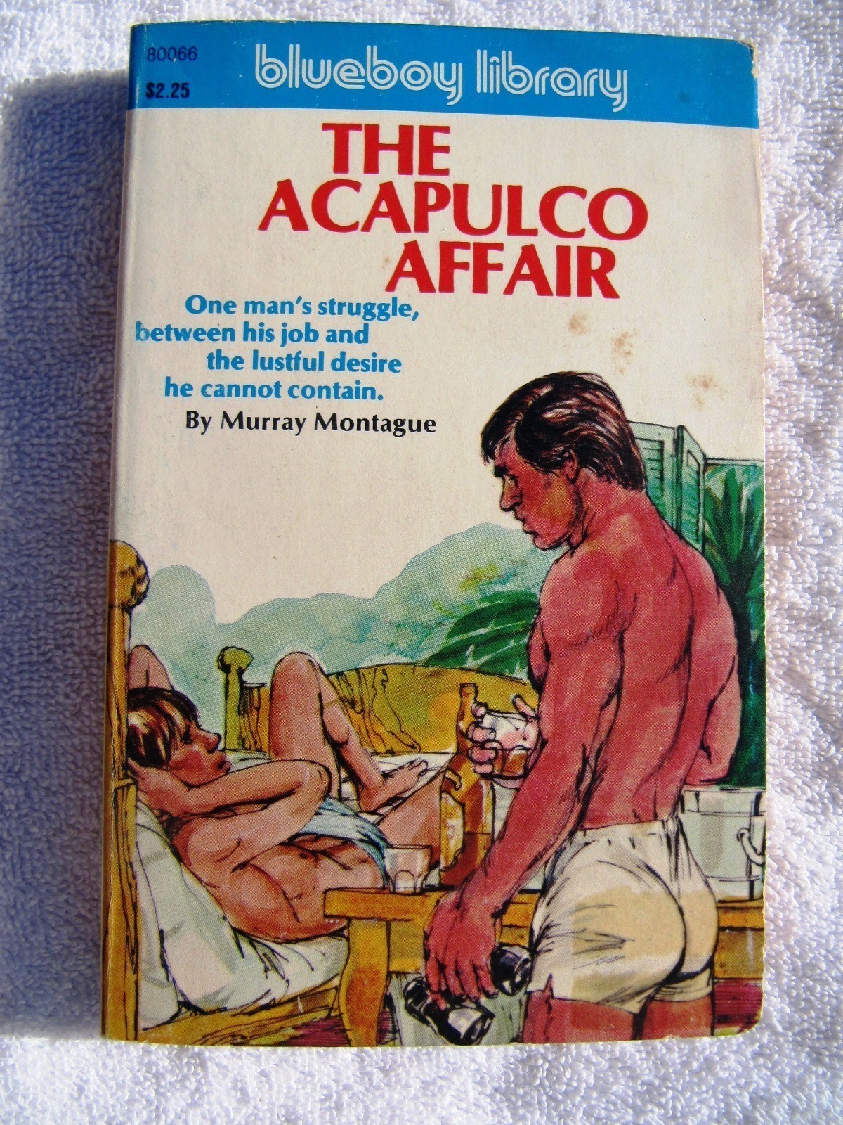 GAY PULP Fiction Murray Montague THE ACAPULCO AFFAIR Blueboy Library 80066 1977