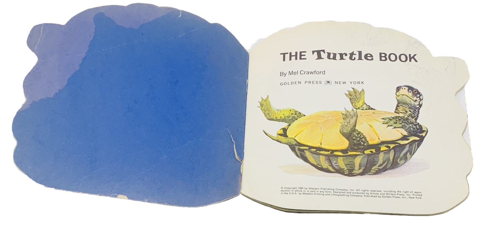 TURTLE & TIGER Shape Children’s Books Golden Press New York 1965 LOT of 2