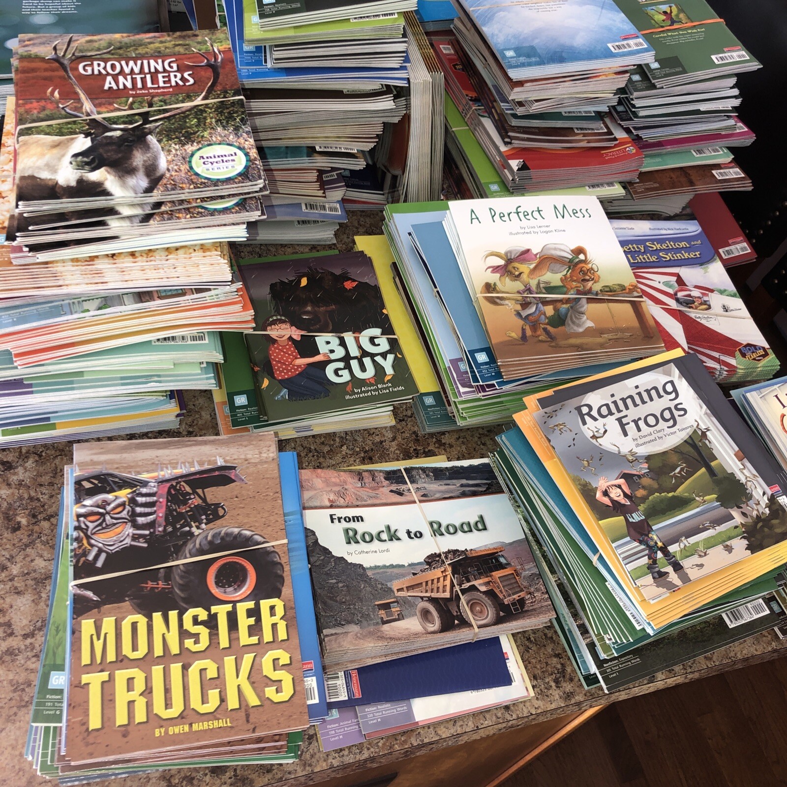 NEW! Children’s Reading Books 15 for $25 You pick Grade 1-2-3-4 FREE SHIP