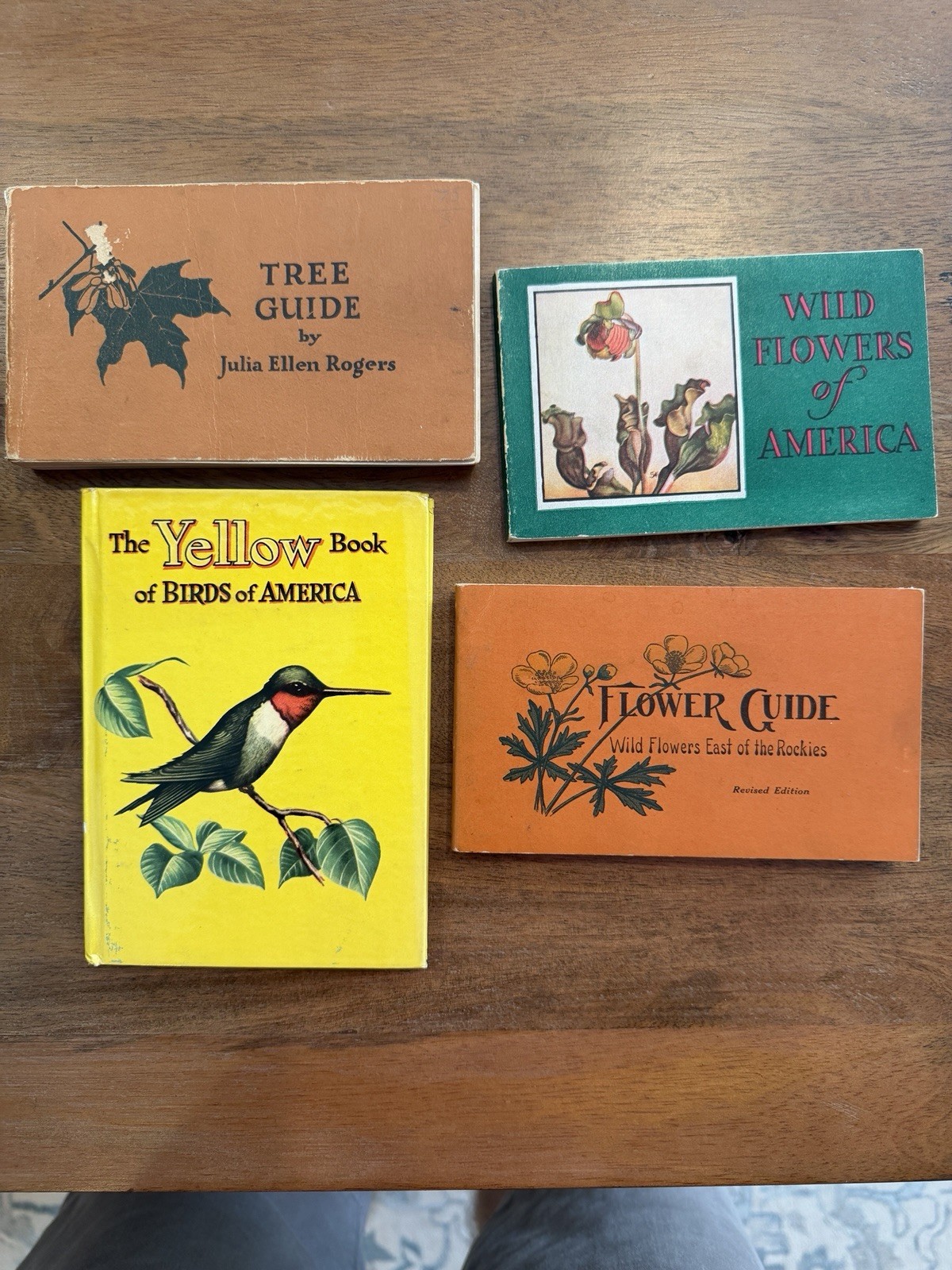 1920s 1930s Vintage Wildflower Bird And Tree Books. Collectible Nature Guides.