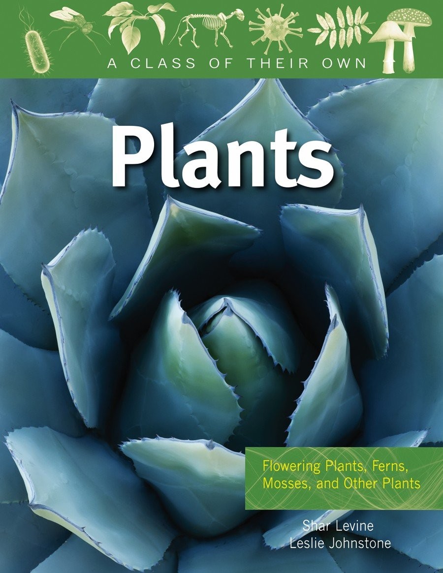 Plants: Flowering Plants, Ferns, Mosses, and Other Plants (Class of Their Ow…
