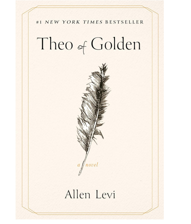 Theo of Golden by Allen Levi Paperback Fiction Novel Contemporary Book