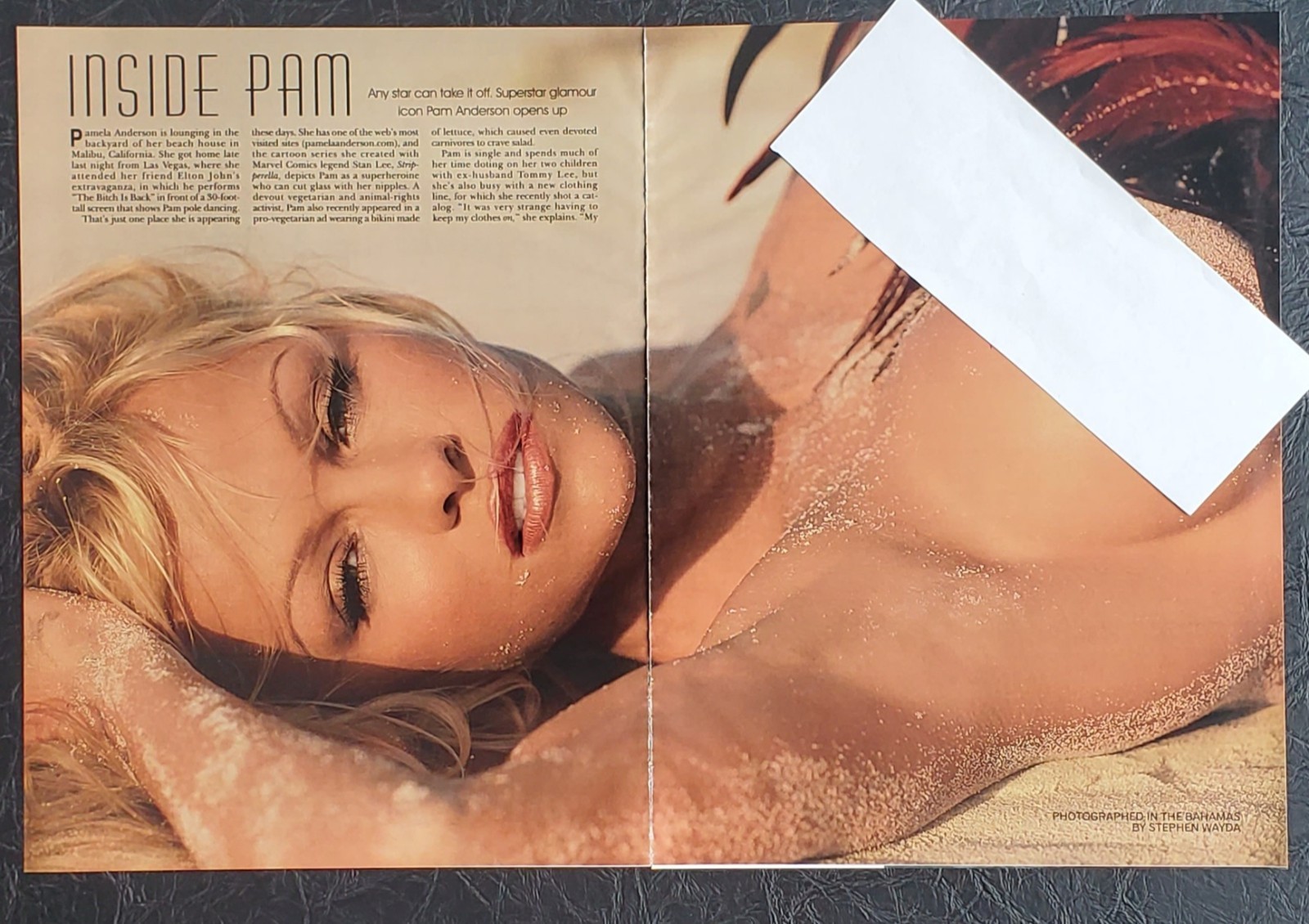 Playboy PICTORIAL ONLY – Playboy Icon PAMELA ANDERSON May, 2004 10 Pages