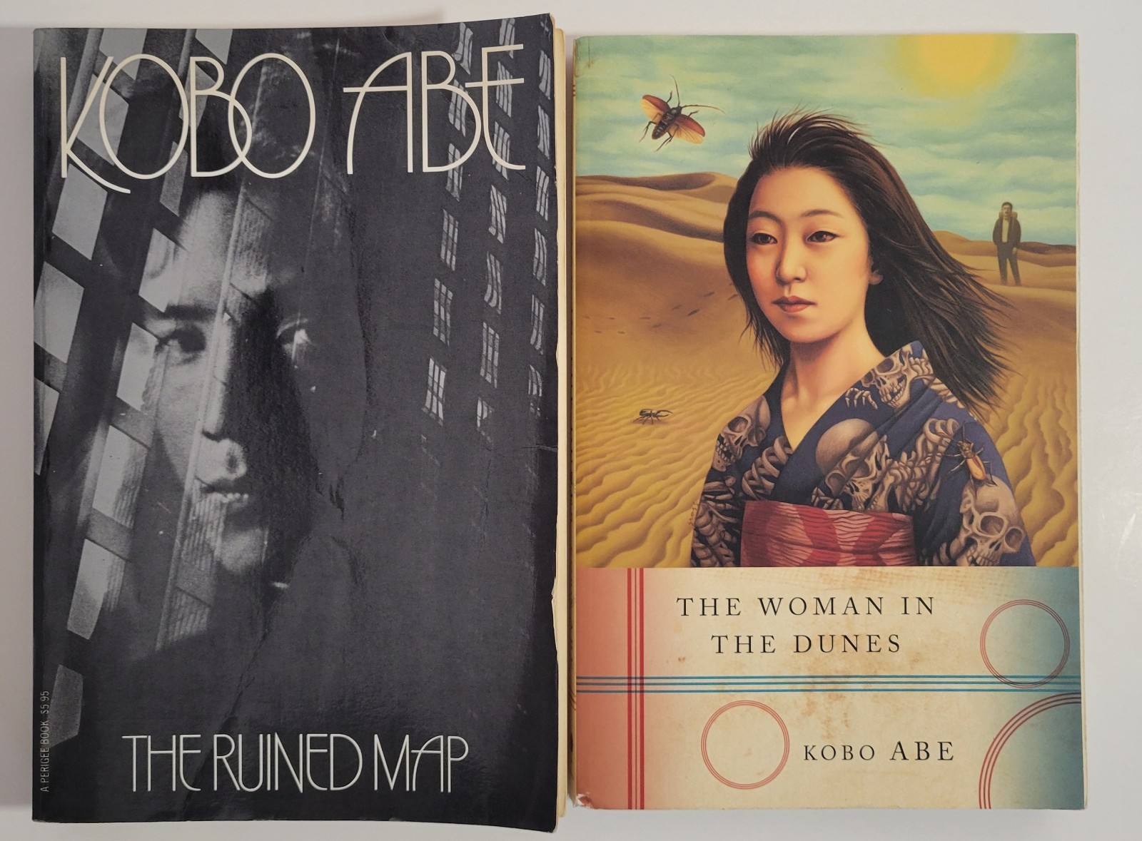Kobo Abe Lot – Woman in the Dunes / Ruined Map – Japanese Literature PB