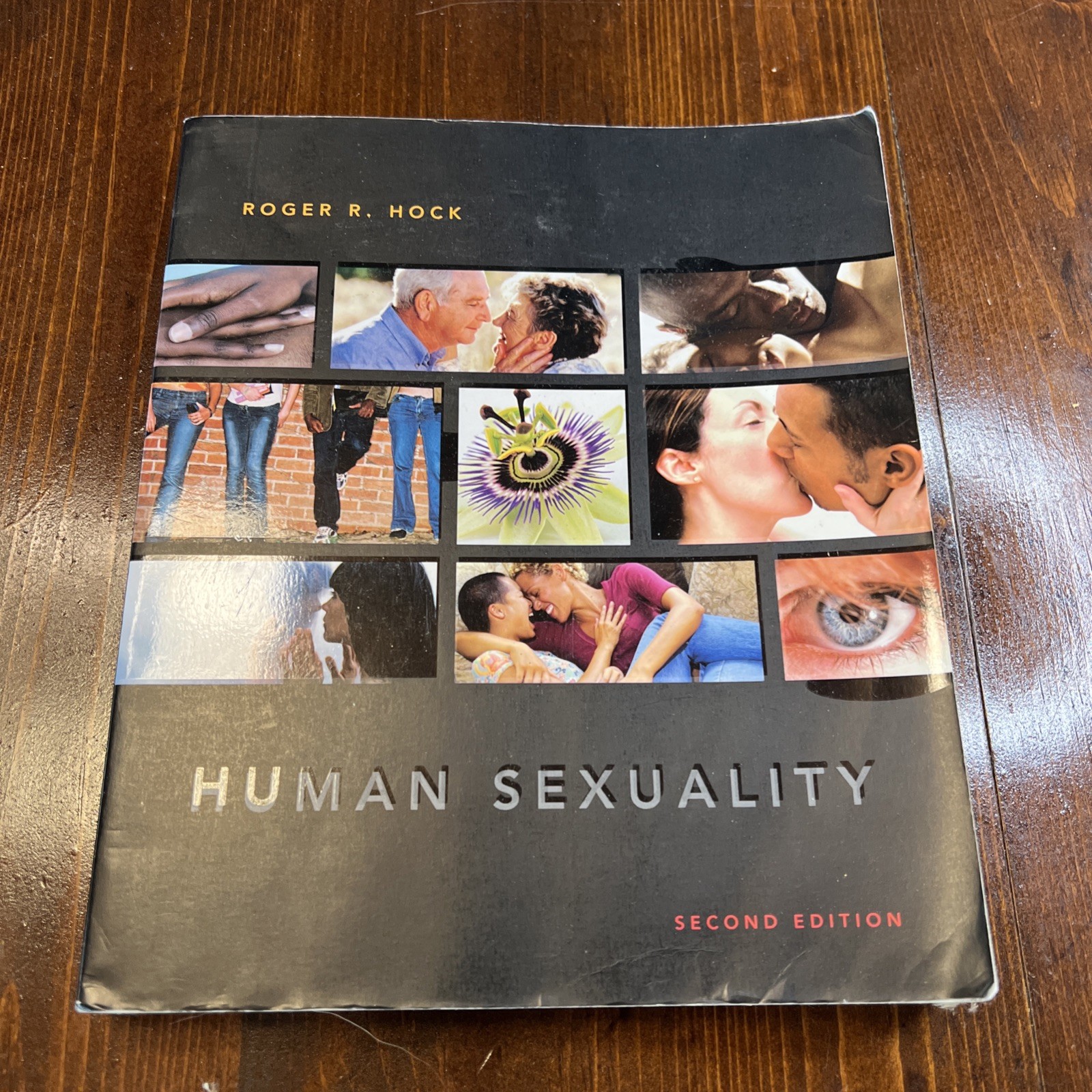 Human Sexuality 2nd Edition by Roger R. Hock (Paperback, 2007)