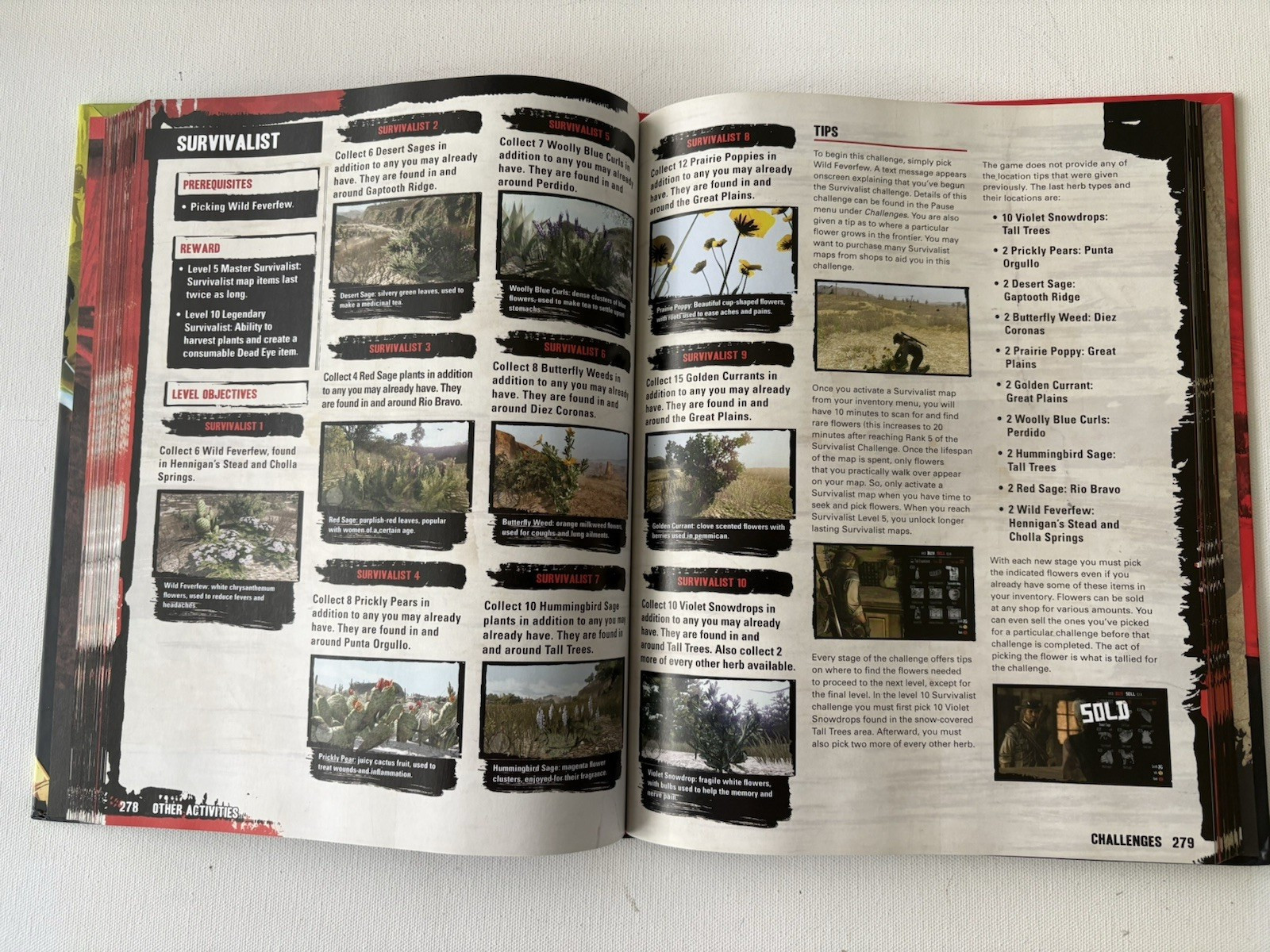 Red Dead Redemption: Game of the Year Edition Guide Limited Edition Hardcover