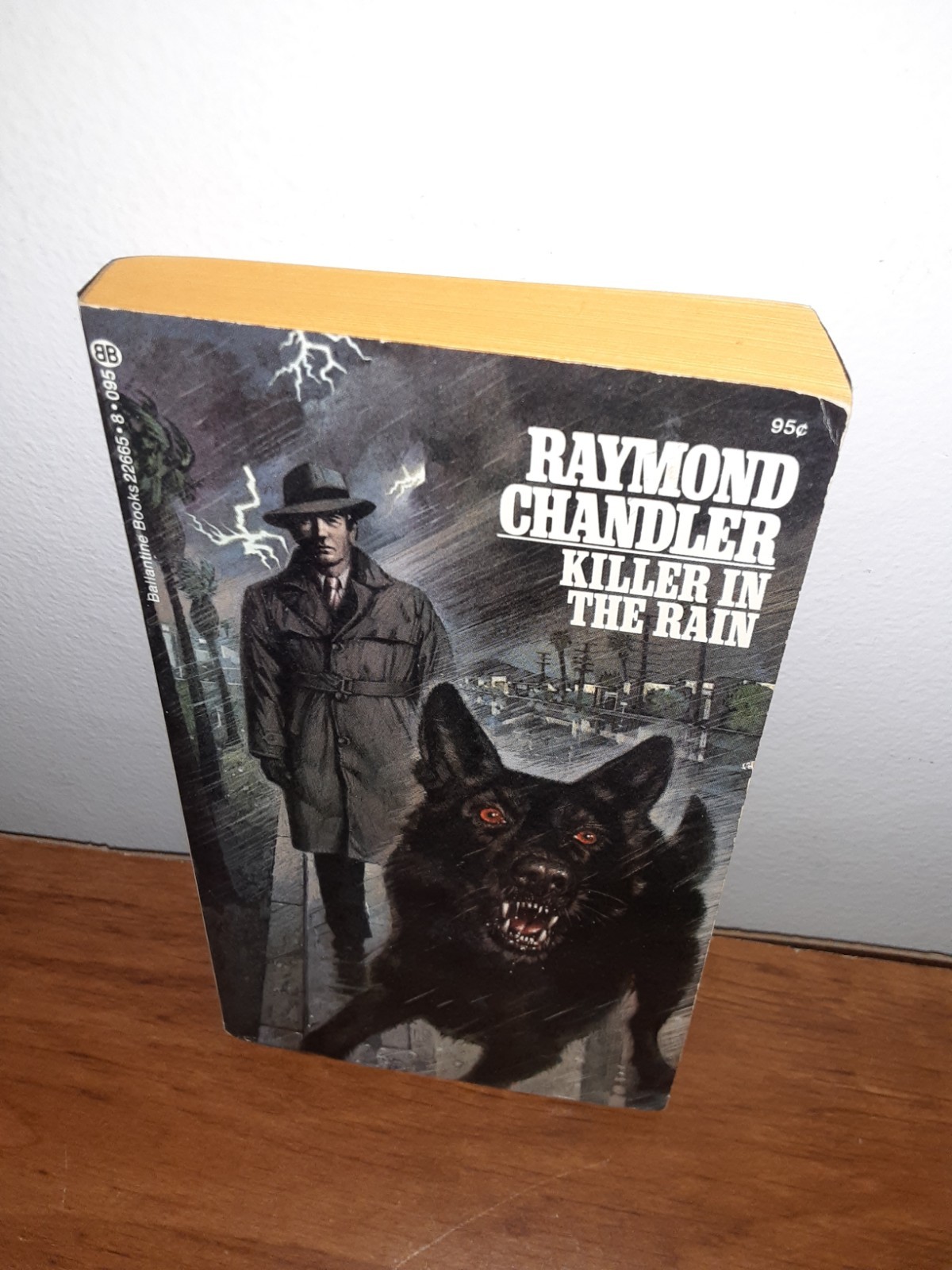 KILLER IN THE RAIN Raymond Chandler PB Ballantine 1973