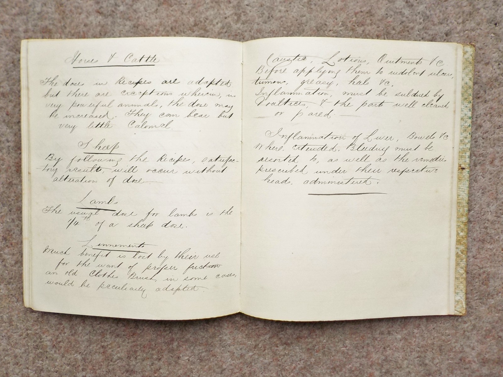 1886 Veterinary handwritten book Cures Recipes 91 pages Horses Dogs Cattle etc