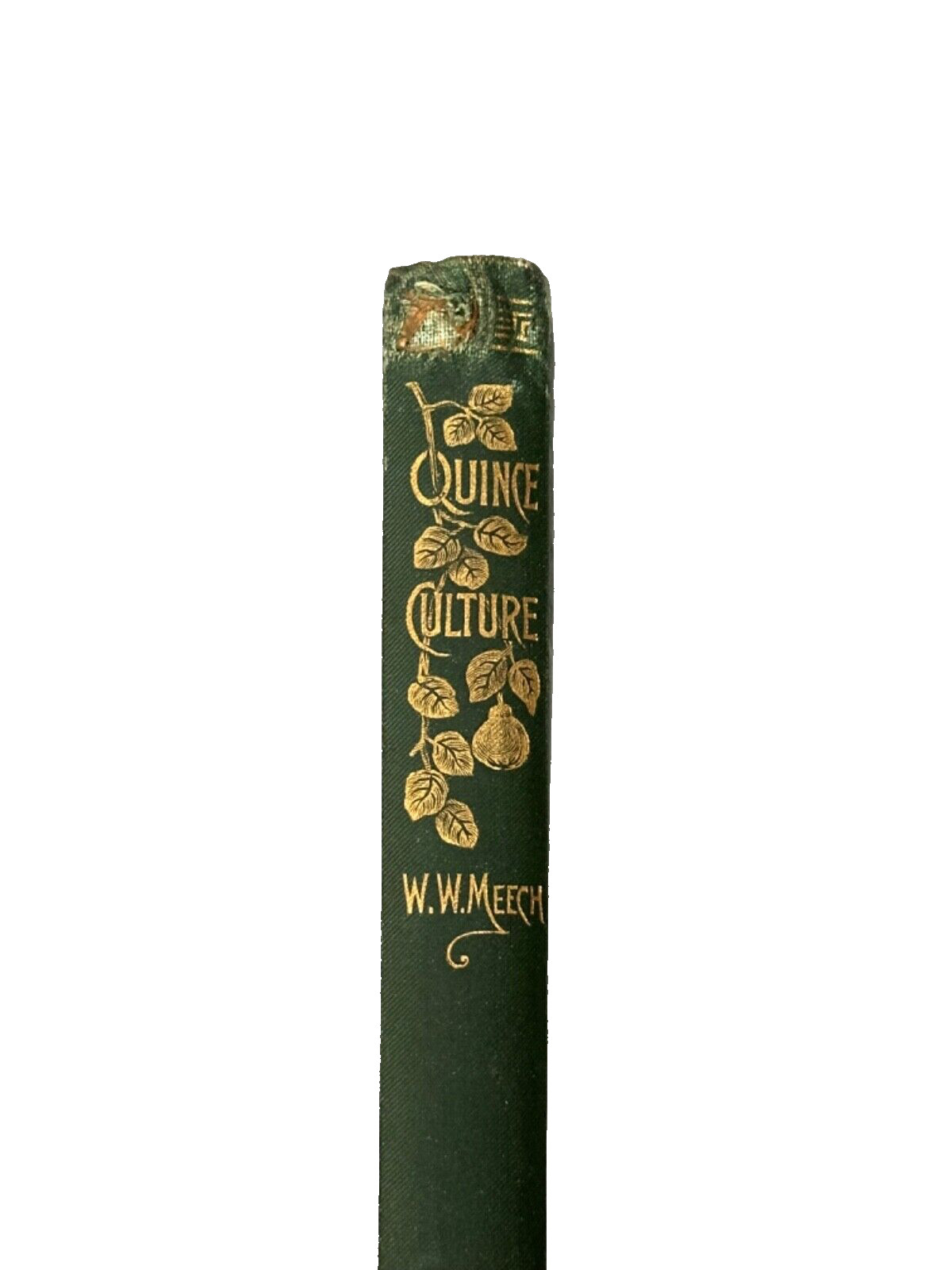 Quince Culture Meech Antique Agriculture Book Vintage Farming