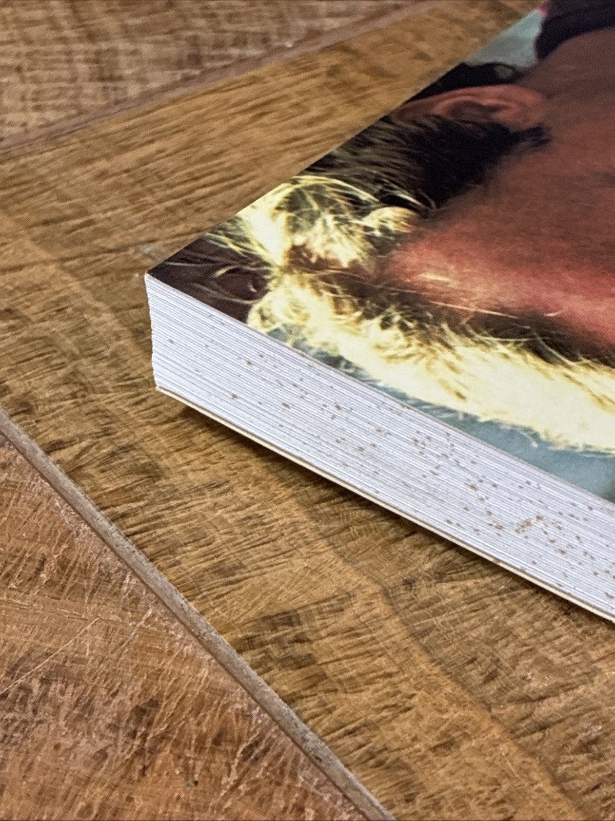 Step- by -Step Knifemaking: You Can Do It! By David Boye. Paperback. 270 pages.