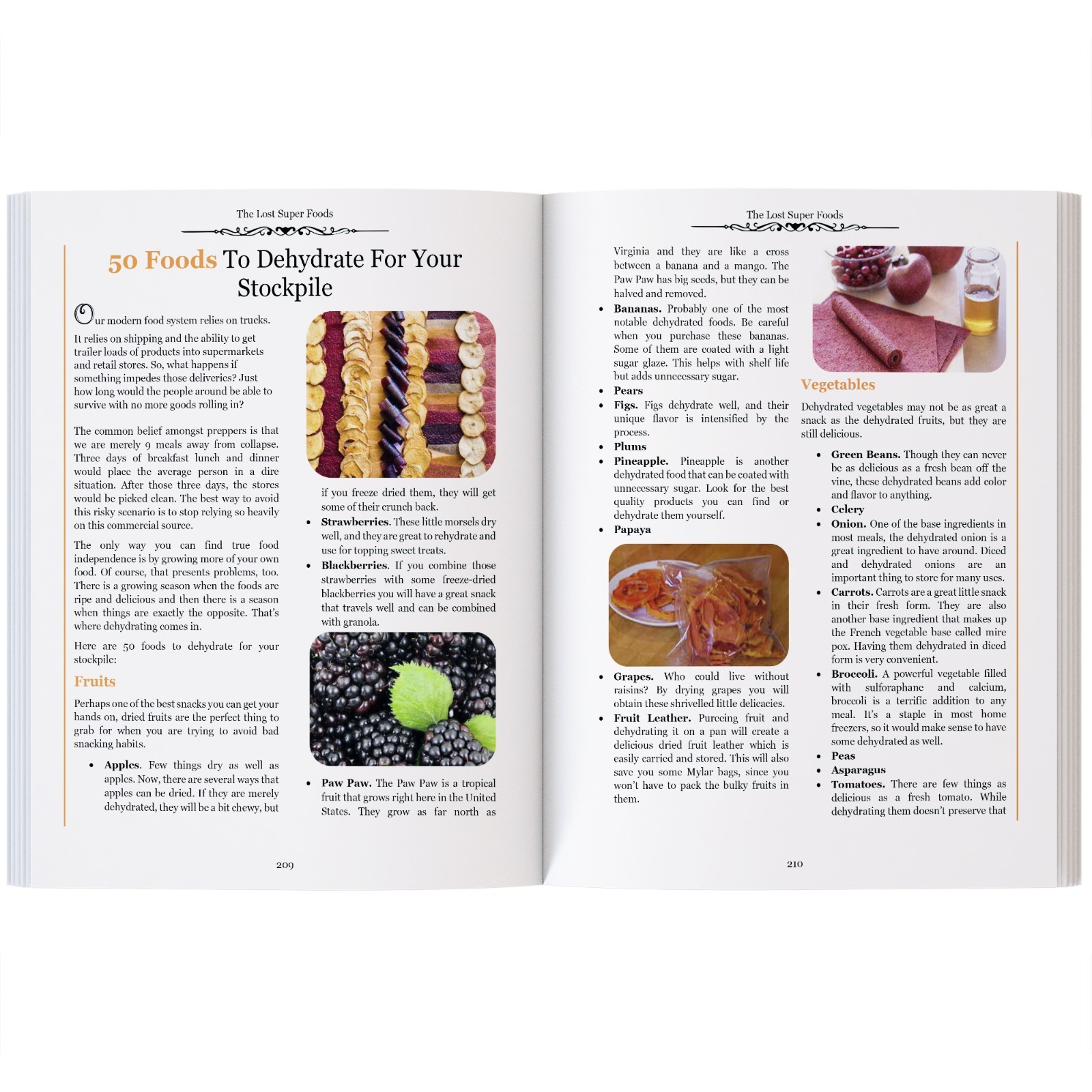 The Lost Super Foods